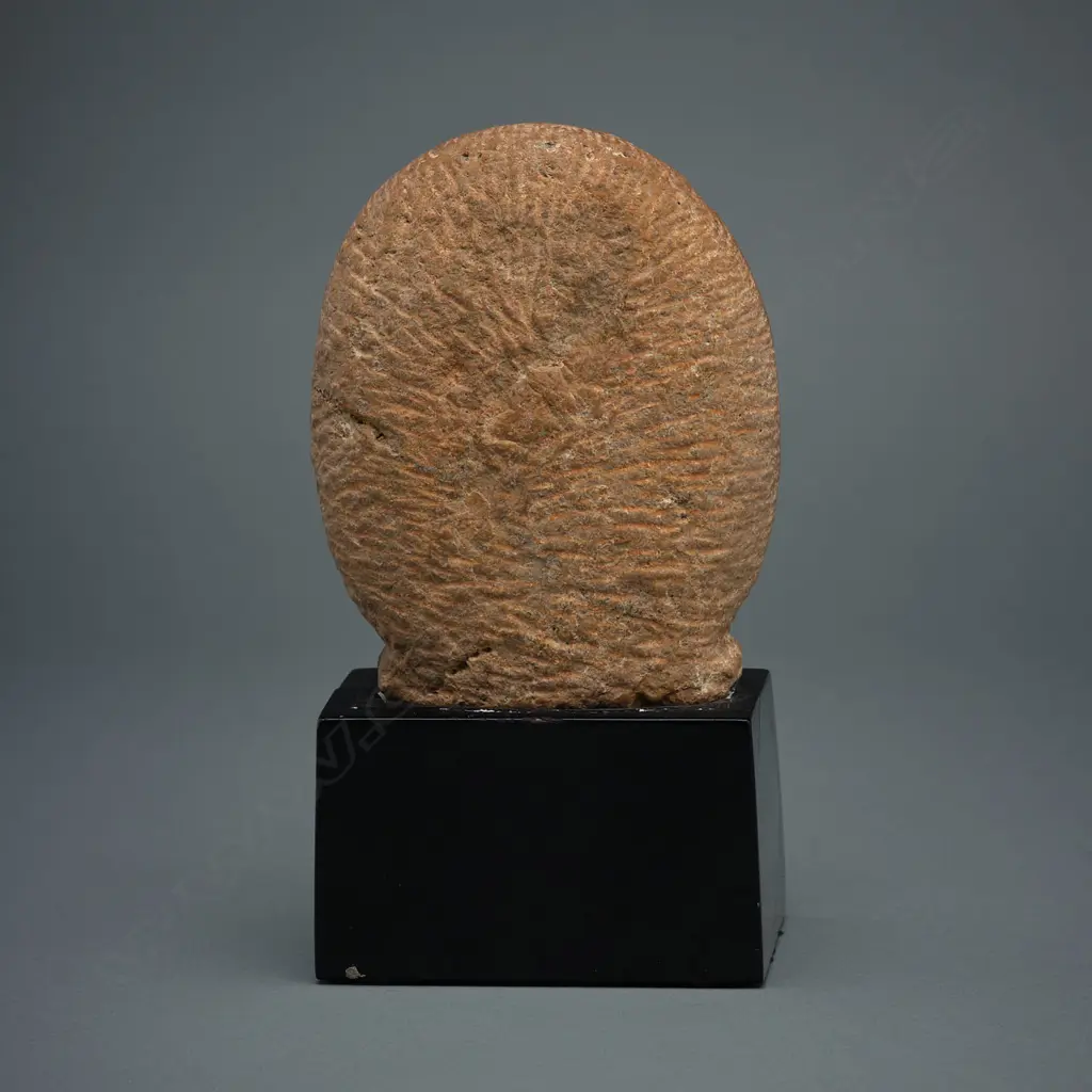 Gandhara style pink sandstone head of Bodhisattva, Image 1++
